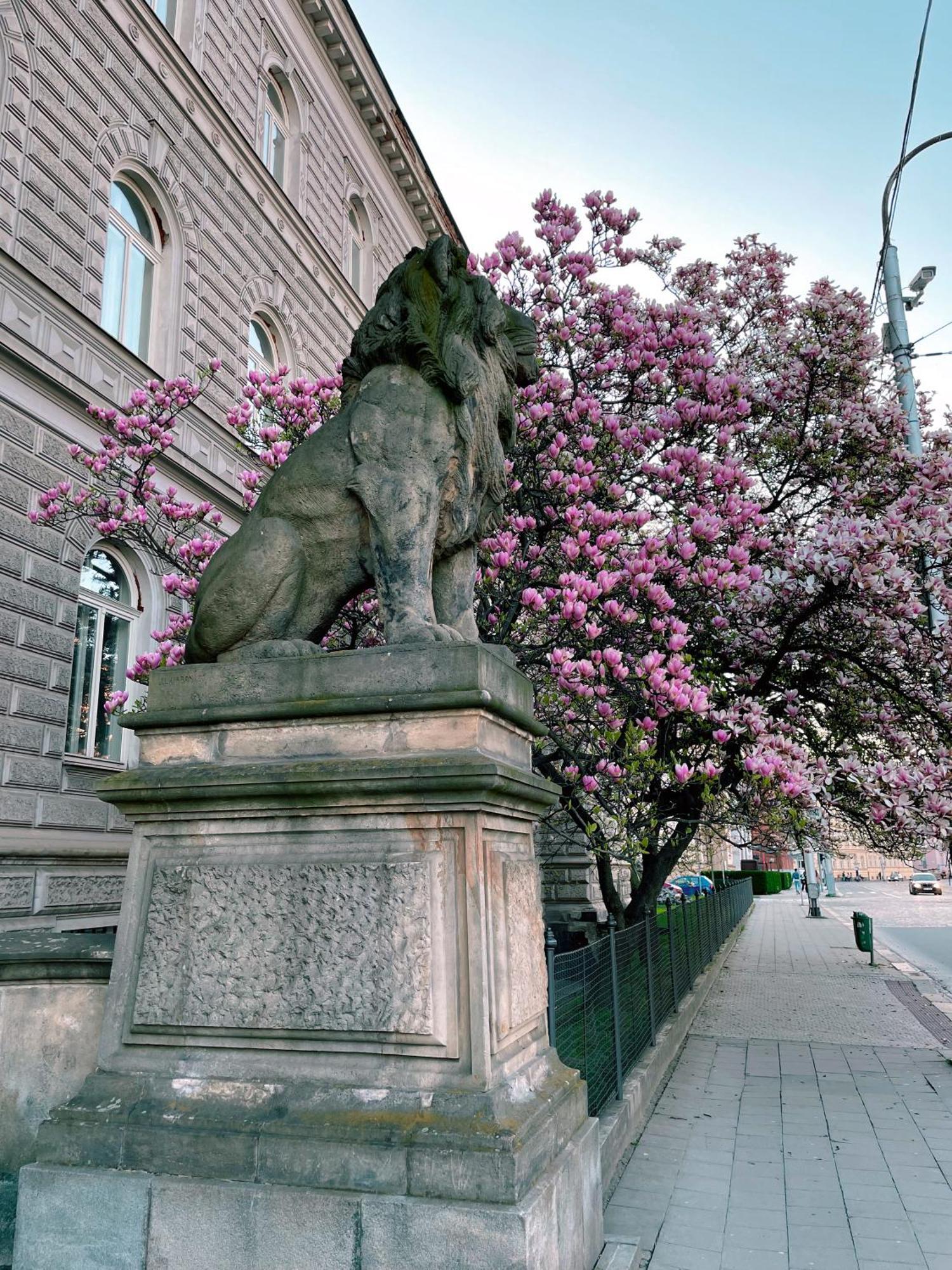 Pension Moravia Olomouc Eksteriør bilde