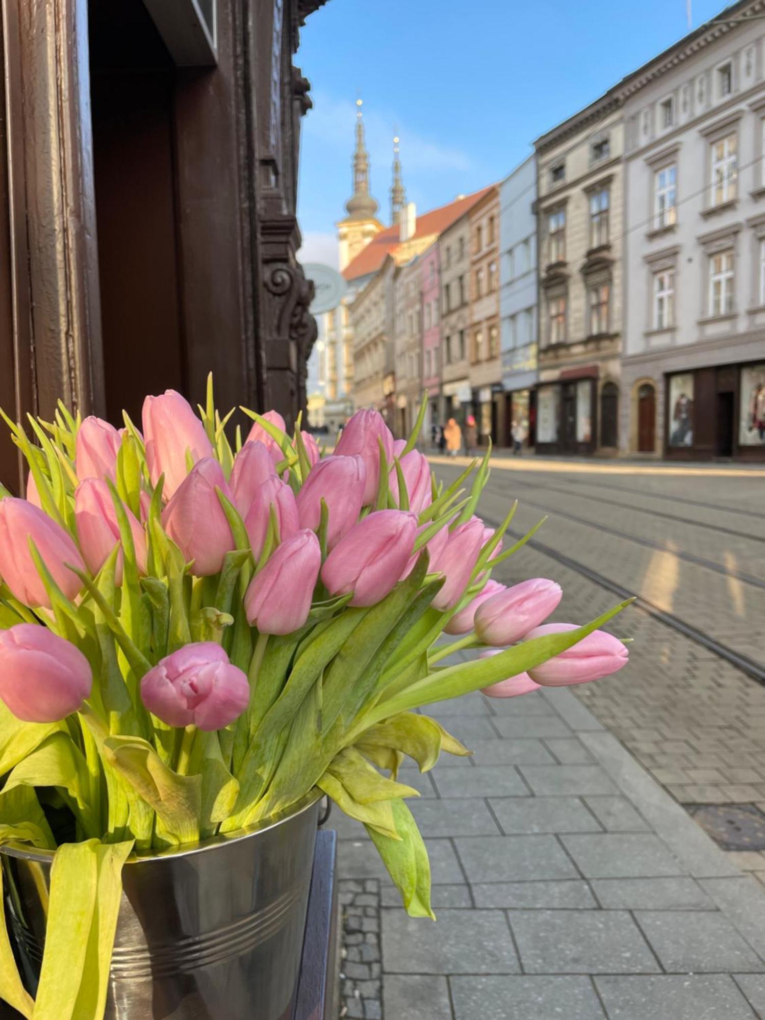 Pension Moravia Olomouc Eksteriør bilde